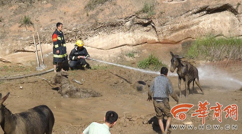 求免费黄色网址
