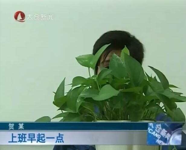 国产乱人伦偷精品视频免下载