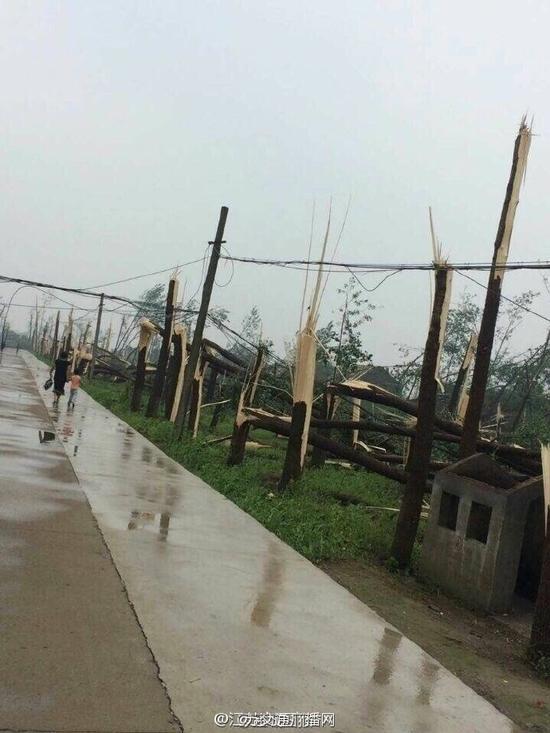 色情 视频 搜索