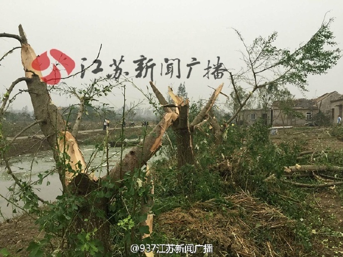美女露私秘?部位裙底