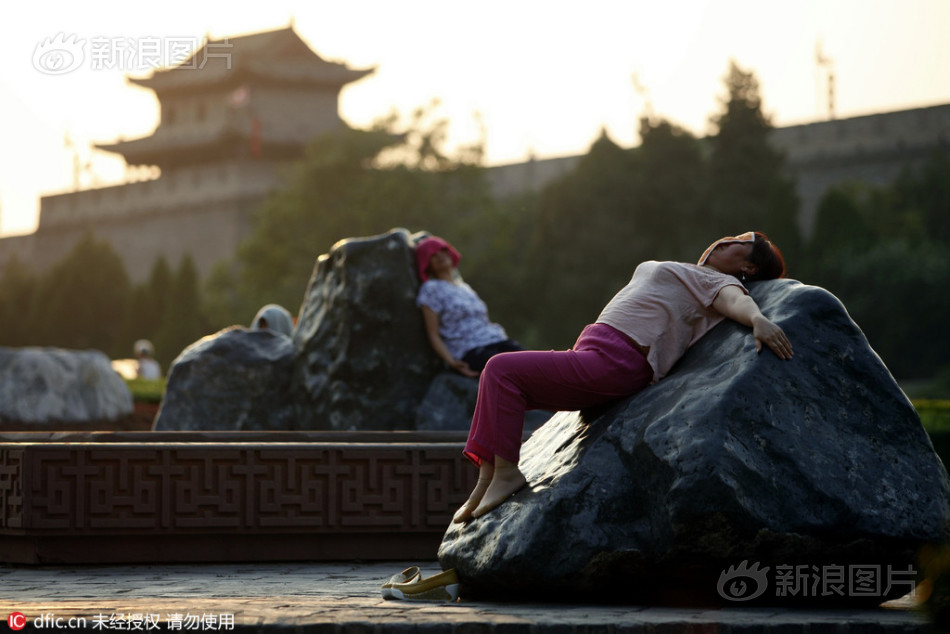 中国熟妇骚逼