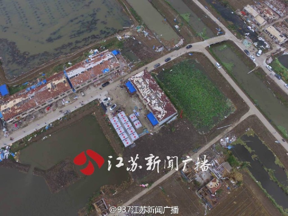 黄色成年无码