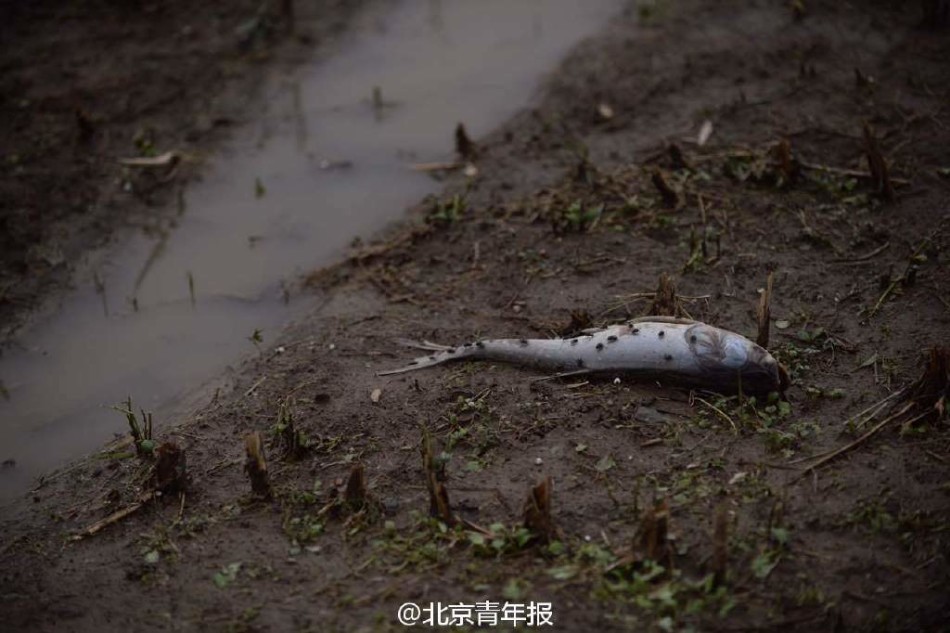 校花被 娇喘出奶电影