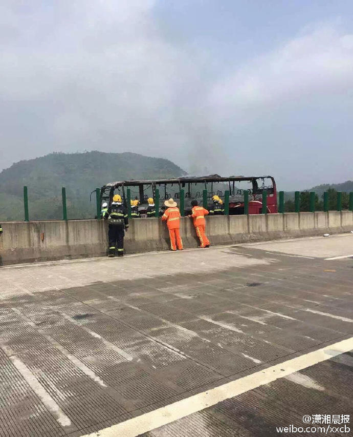 性爱专区麻豆
