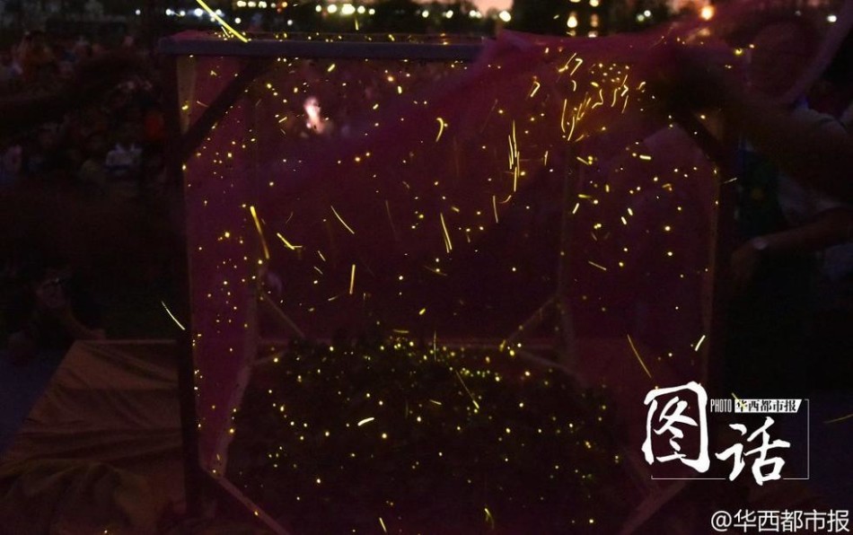 双色球开奖号码