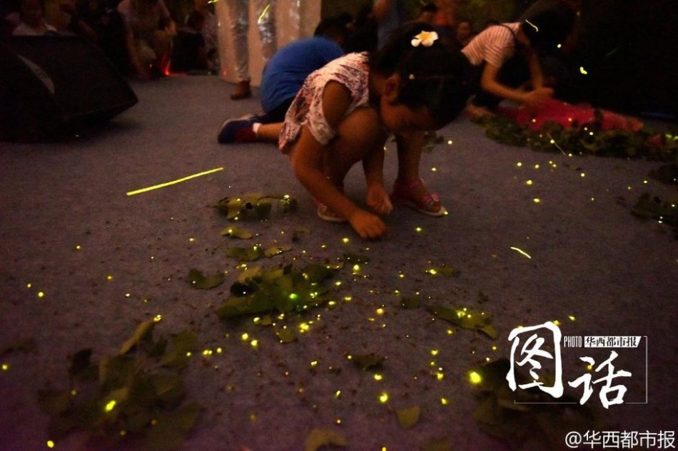 撕开内衣 吸奶头的照片