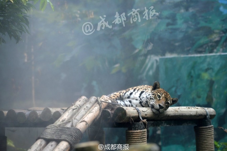 颖儿的三级理伦电影在线播放