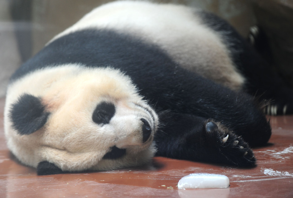 欧美一级人与嘼免费播放