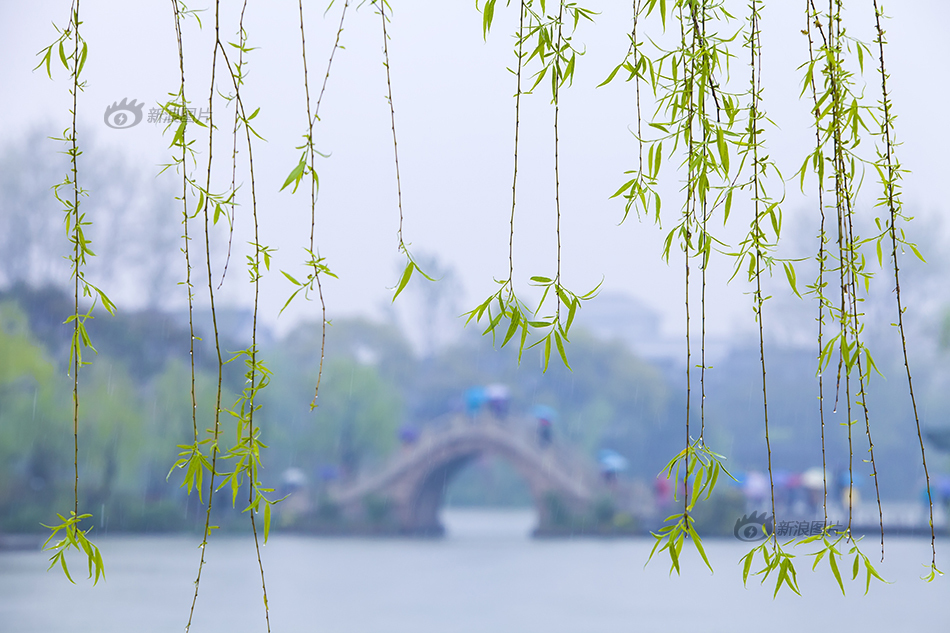 欧美    XXXX业务娇小