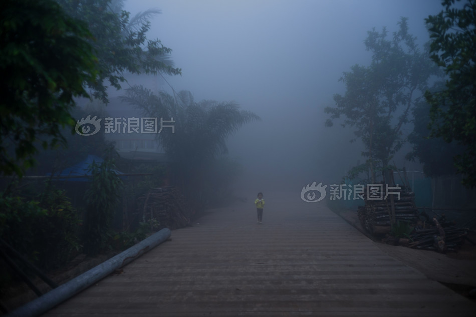 在线人成网