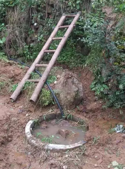 日本jjzz