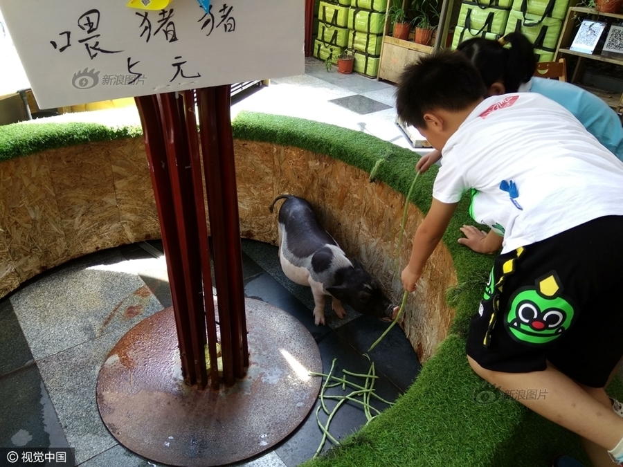 波多野结衣公众-被-强-是合-法的