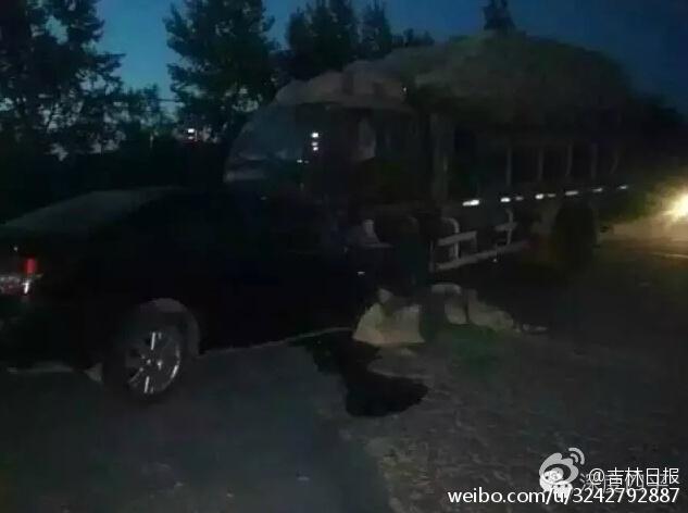 被舔的高潮视频Hd