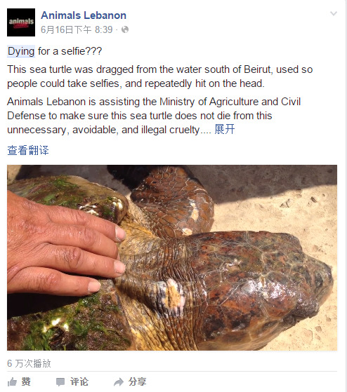 秋霞理论片