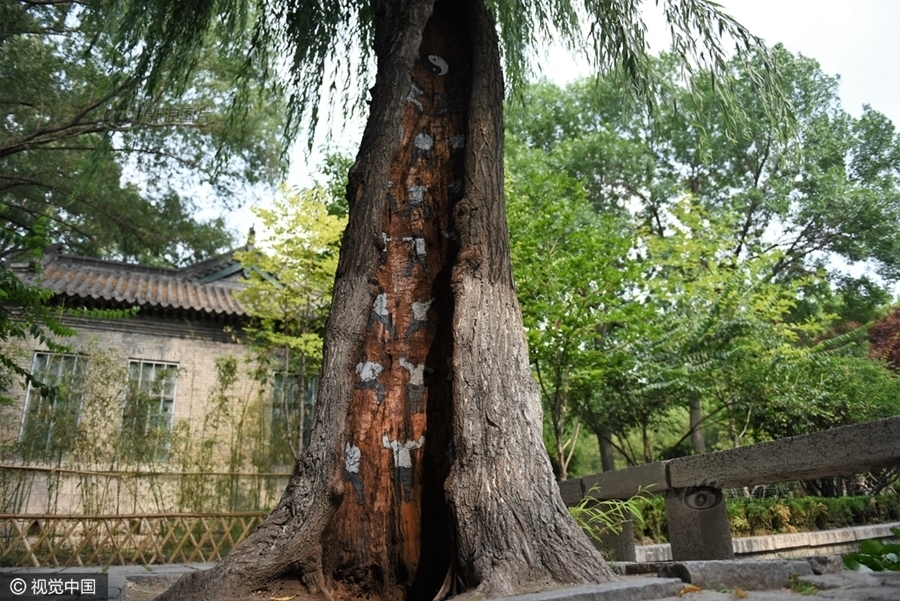 森下千里