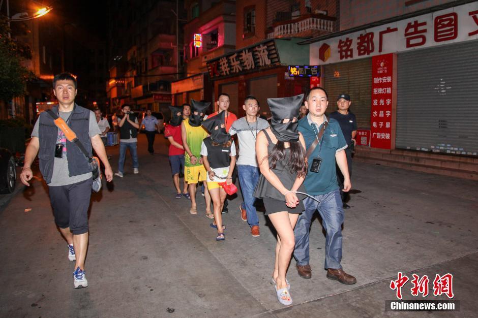 人与禽性伦关系