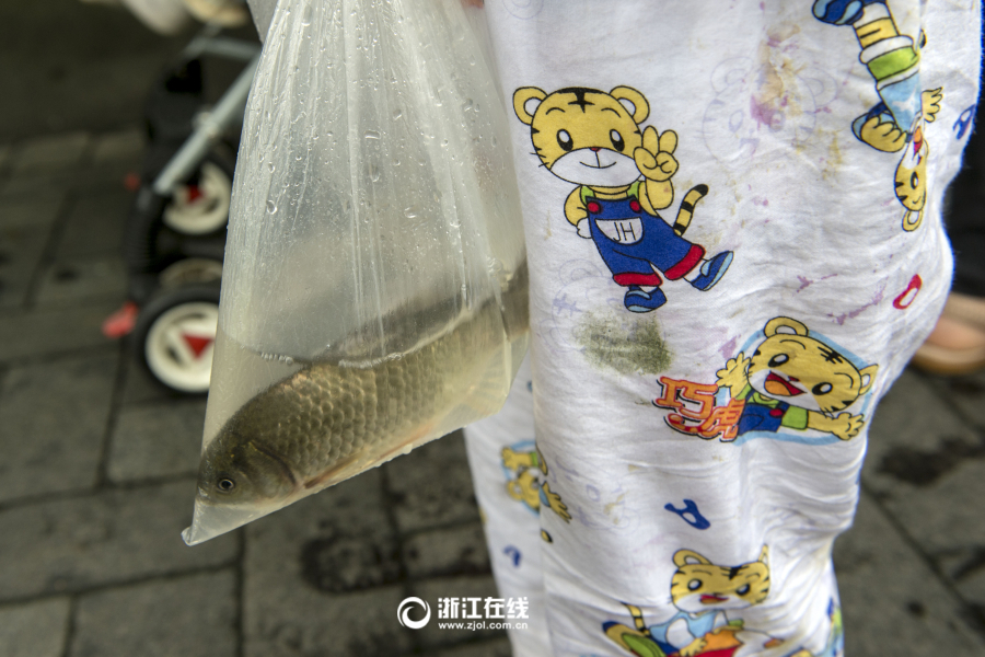 99精品视频三浦惠理子