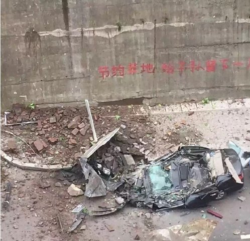 91视频在线观看