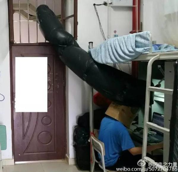 楊林