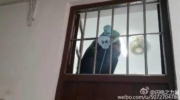 白丝舞蹈生被c的娇喘连连
