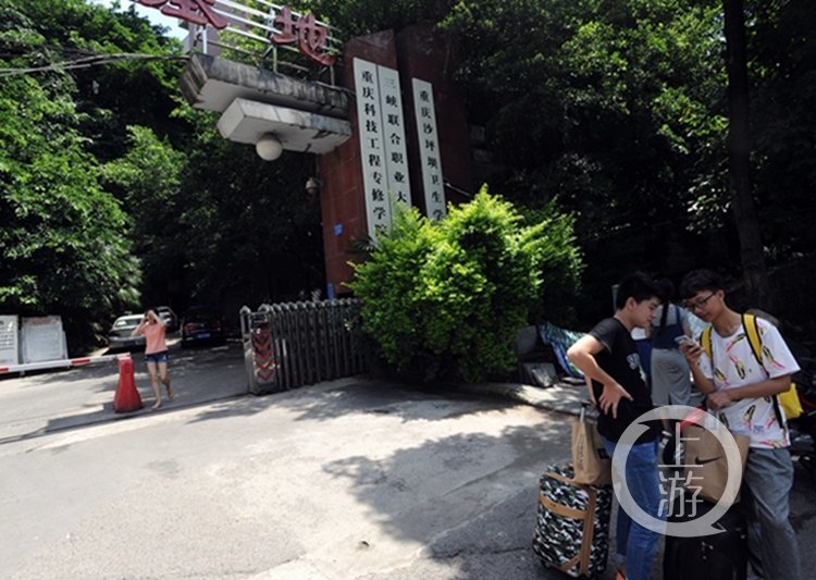 张柏芝跪下吃J8长什么样