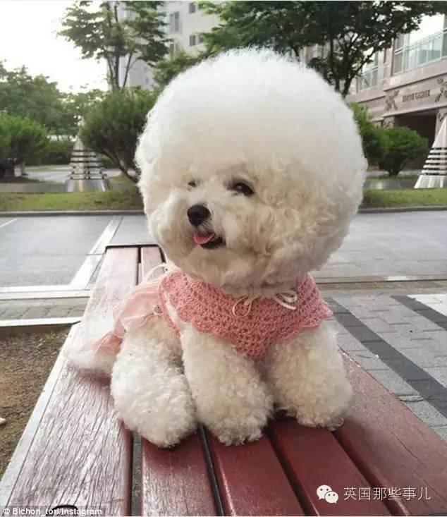欧美浓毛大泬老妇人乱爱