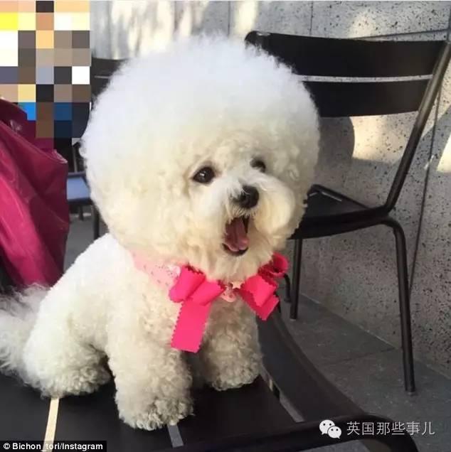 精品999久久久一级毛片