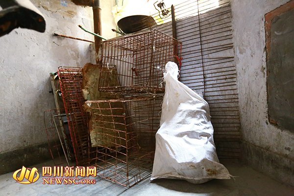 内射素人熟妇Xnxxcon