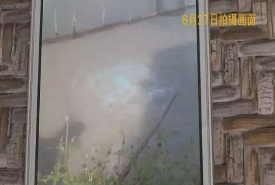 免费 成人 电影 网
