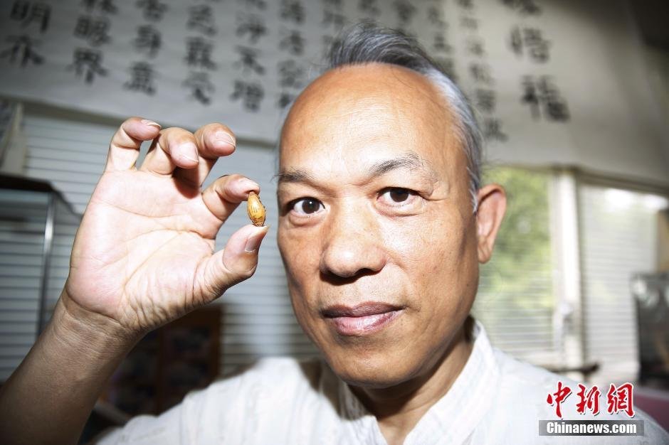 一级黄色片网站