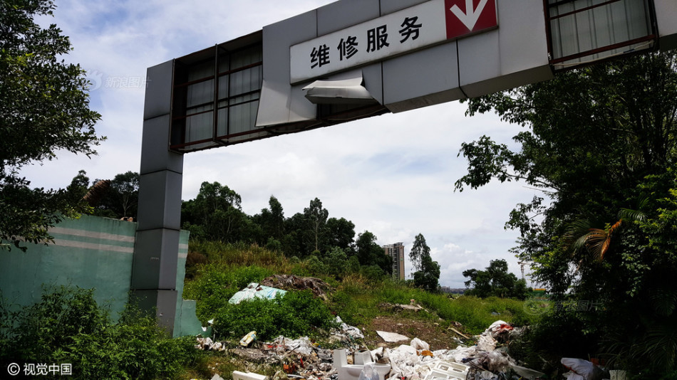 爱爱动态图