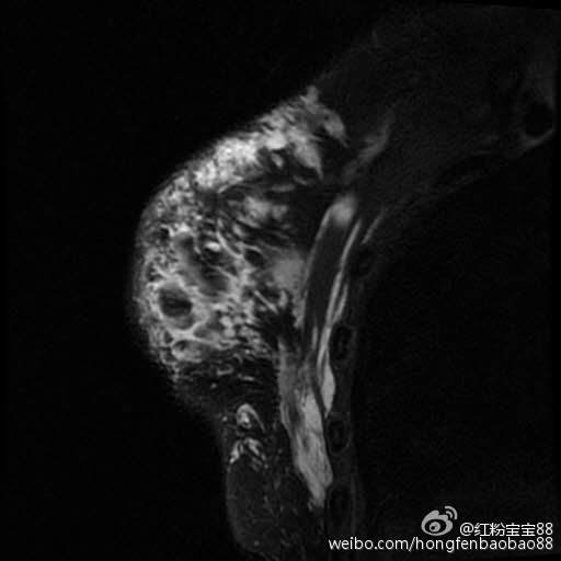 日本动漫无码 有限公司