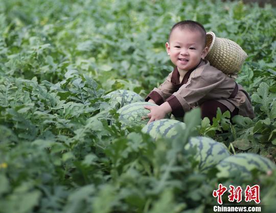 男女 做爱 视频