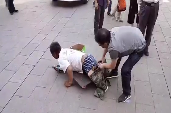 麻美由真