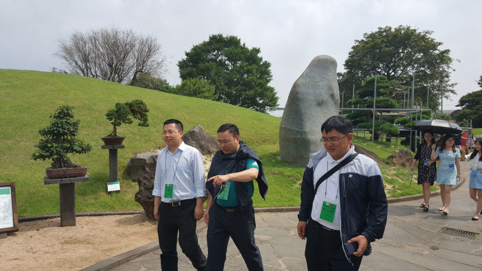 18禁黄网站免费观看在线