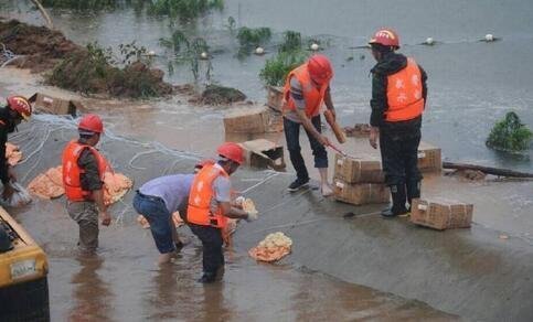 午夜成人视频