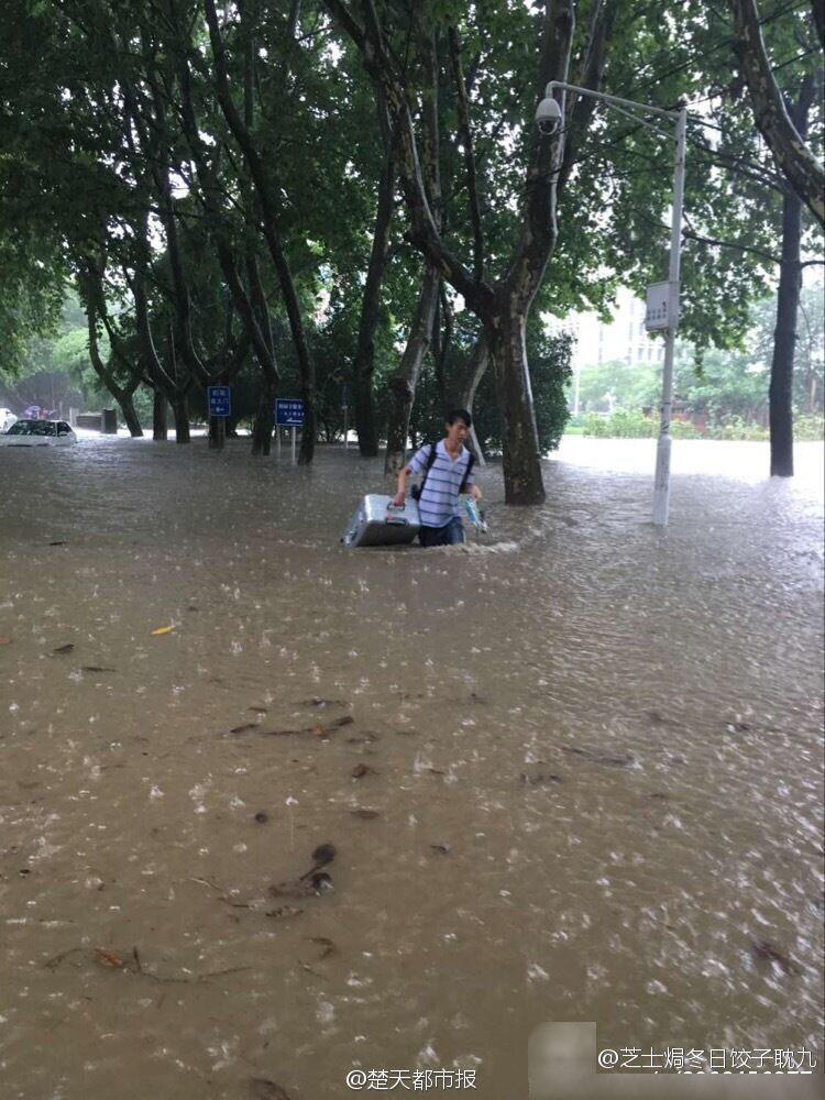 吉野公佳