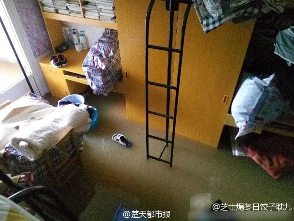 人人舔人人操人