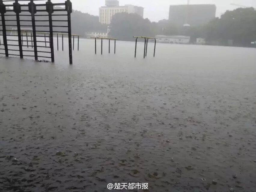 奧田咲