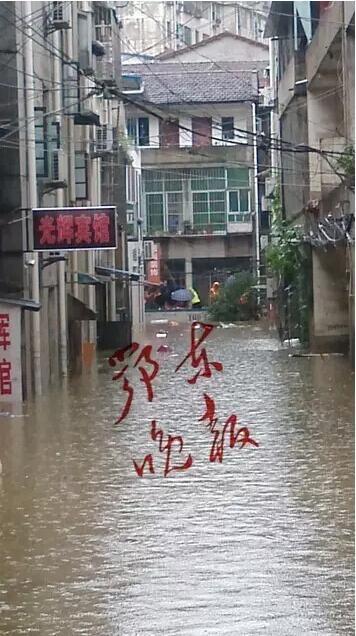 欧美理伦片在线看