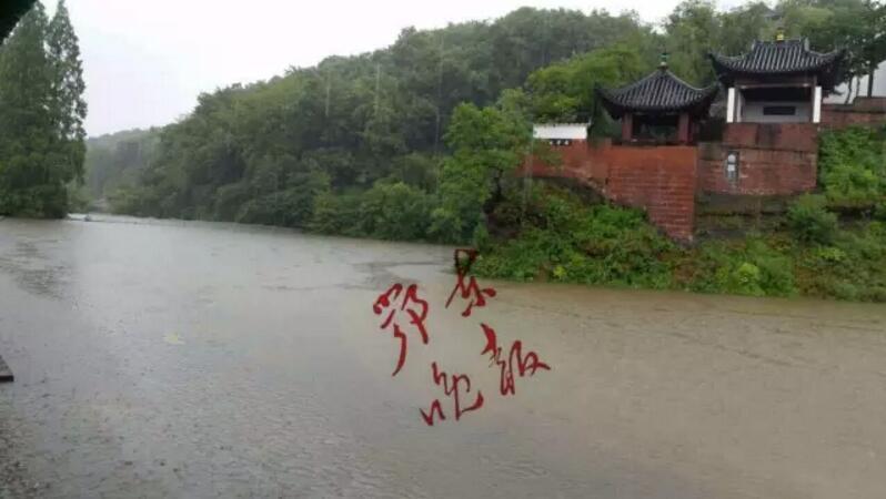 美女抖胸W网站