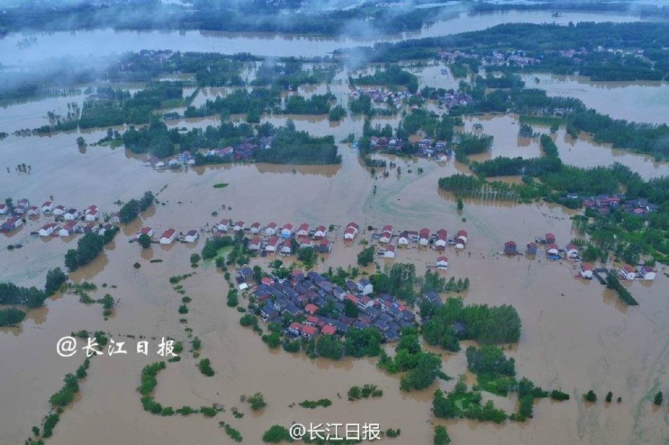 这里只有精品视频