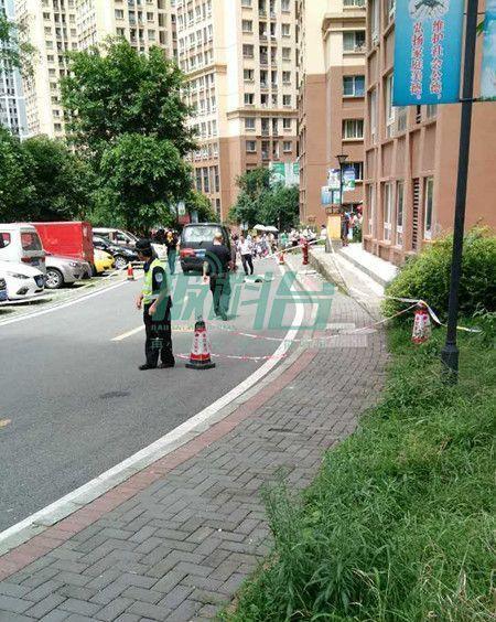 欧美人与禽ZOZZO性之恋的特点