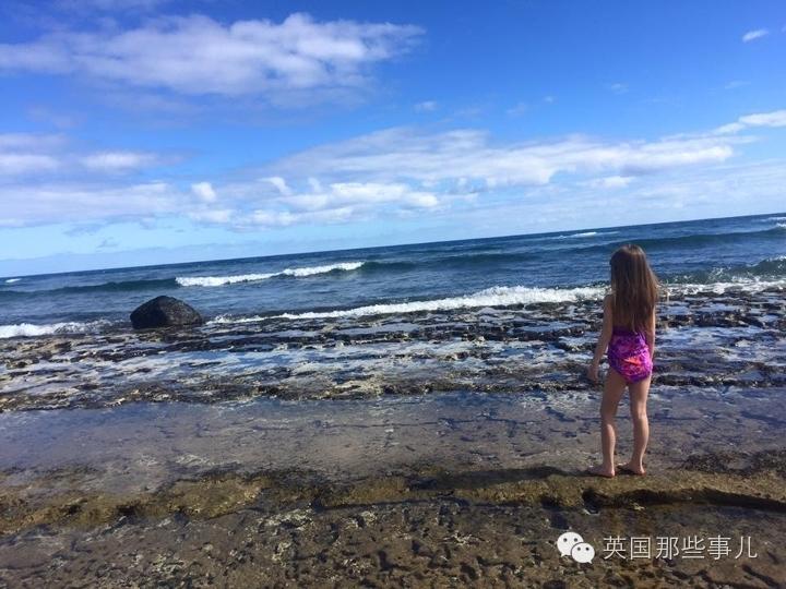大象直播
