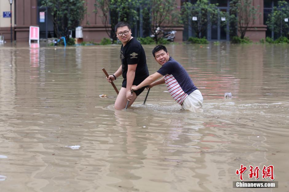 黄色 网站 下载