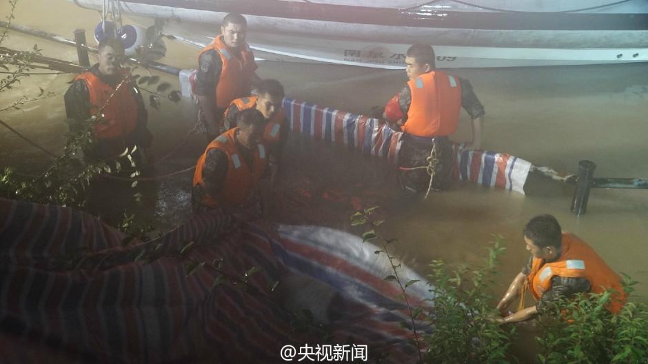 不知火舞被狂 无码流出