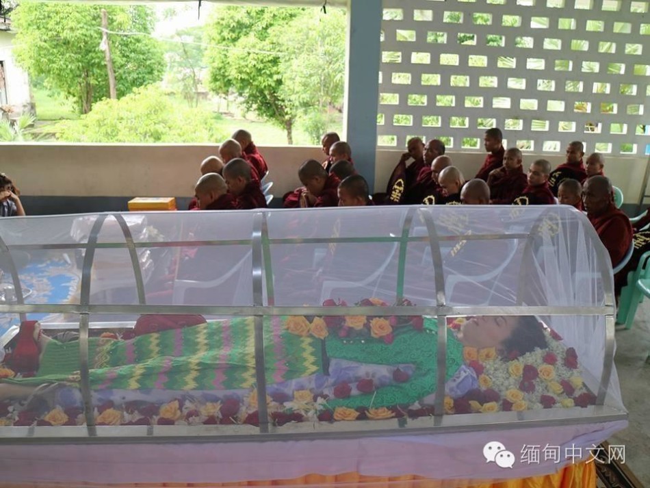成人 免费 色情