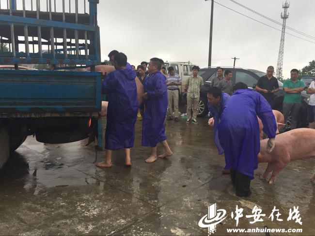 韩国伦理片男的和男的搞在一起理发