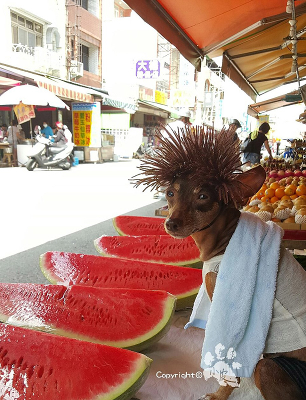 亚洲熟女白浆