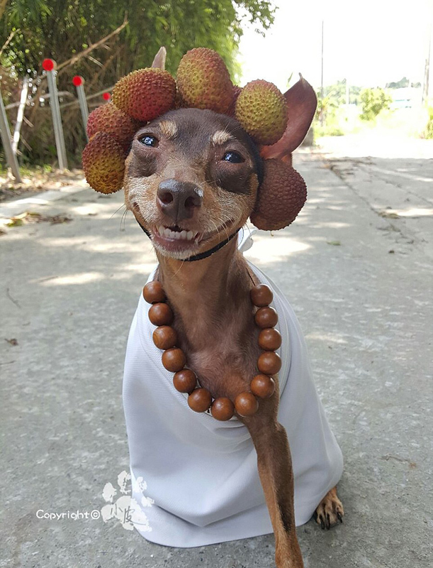 姜銀慧